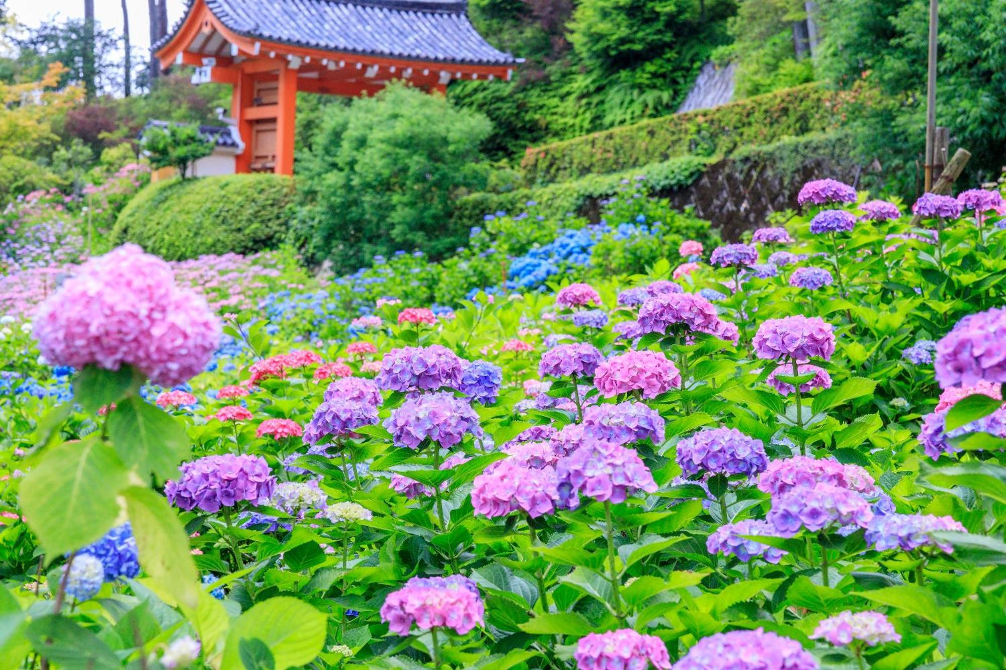 Hotel Mimaru Kyoto Nishinotoin Takatsuji Esterno foto