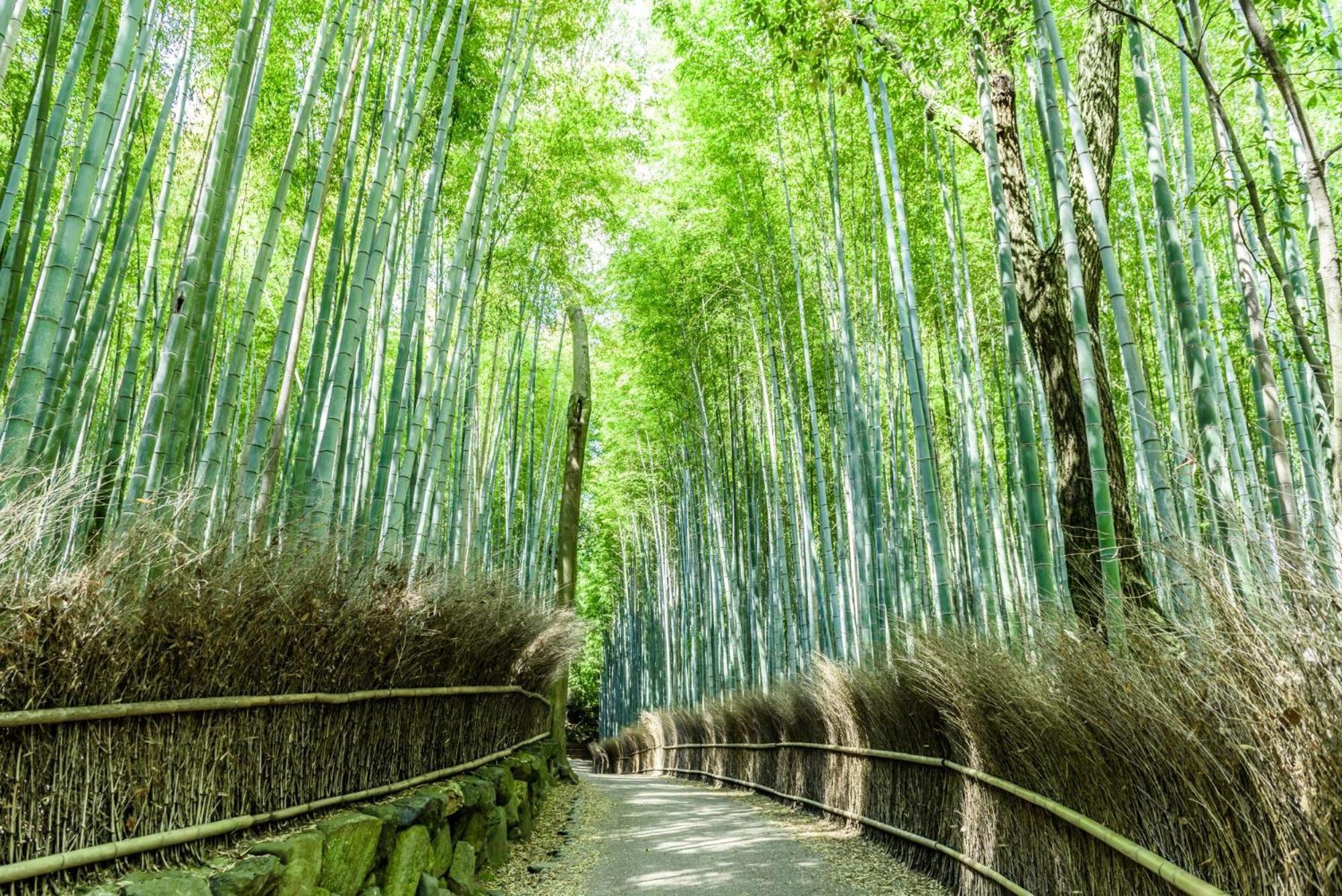 Hotel Mimaru Kyoto Nishinotoin Takatsuji Esterno foto